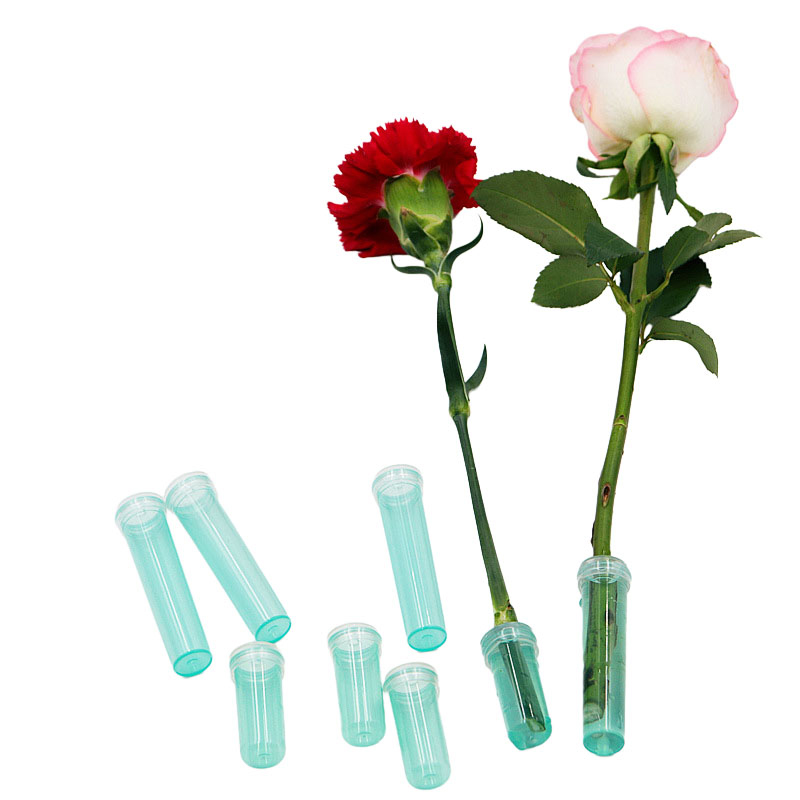 20Pcs Plastic Fresh Flower Nut - Hydroponic Grow Pod 评论和价格