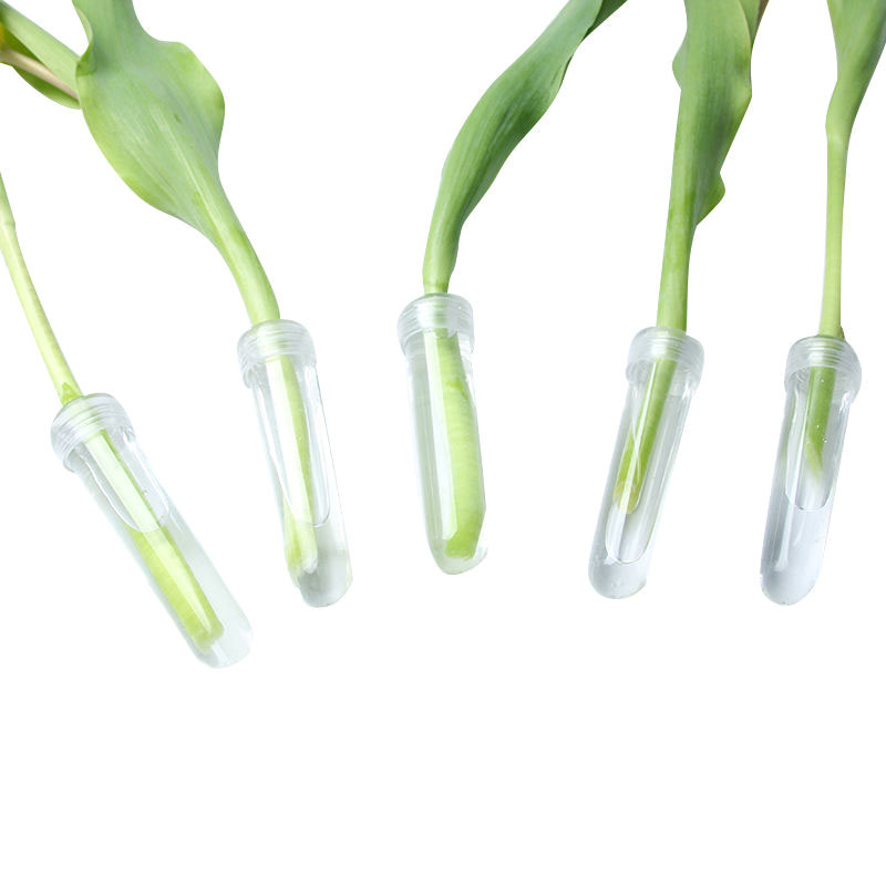 20Pcs Plastic Fresh Flower Nut - Hydroponic Grow Pod 评论和价格