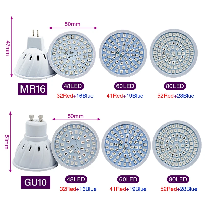 Phyto Lamp Full Spectrum LED G - Plant Grow Light Full Spectrum 评论和价格