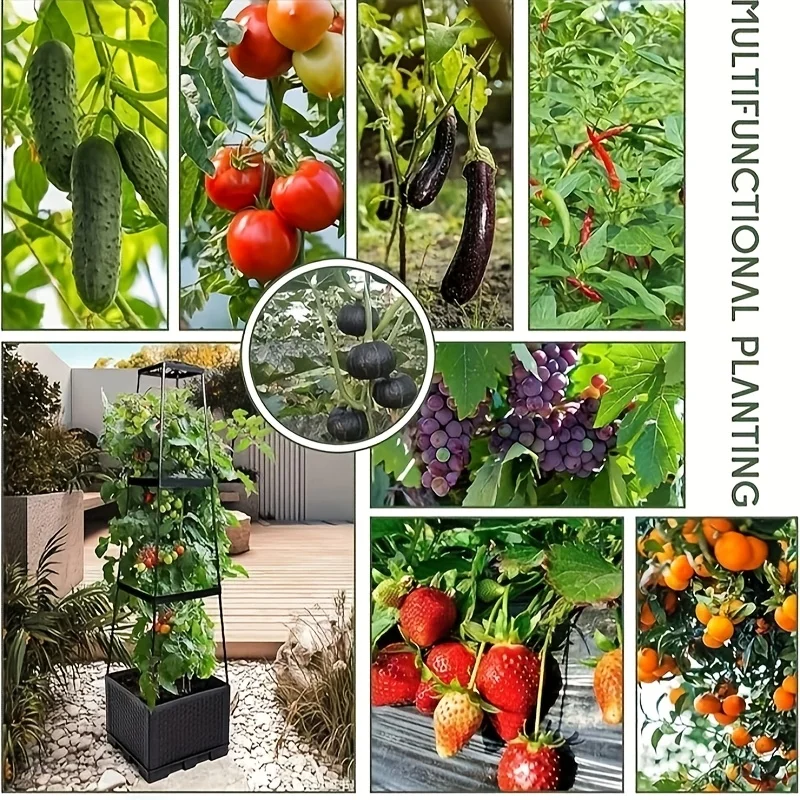Tomato Tower with Self Waterin - Hydroponic Tower 评论和价格