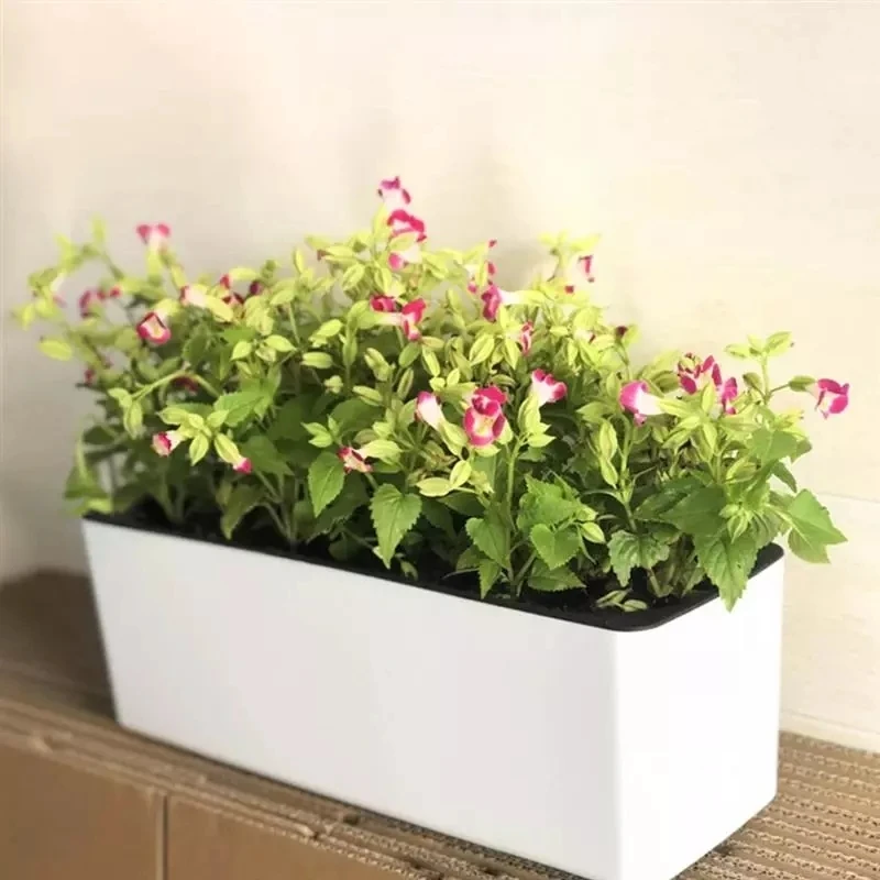 Rectangula Lazy Flower Pot Pot - Hydroponic Grow Pod 评论和价格
