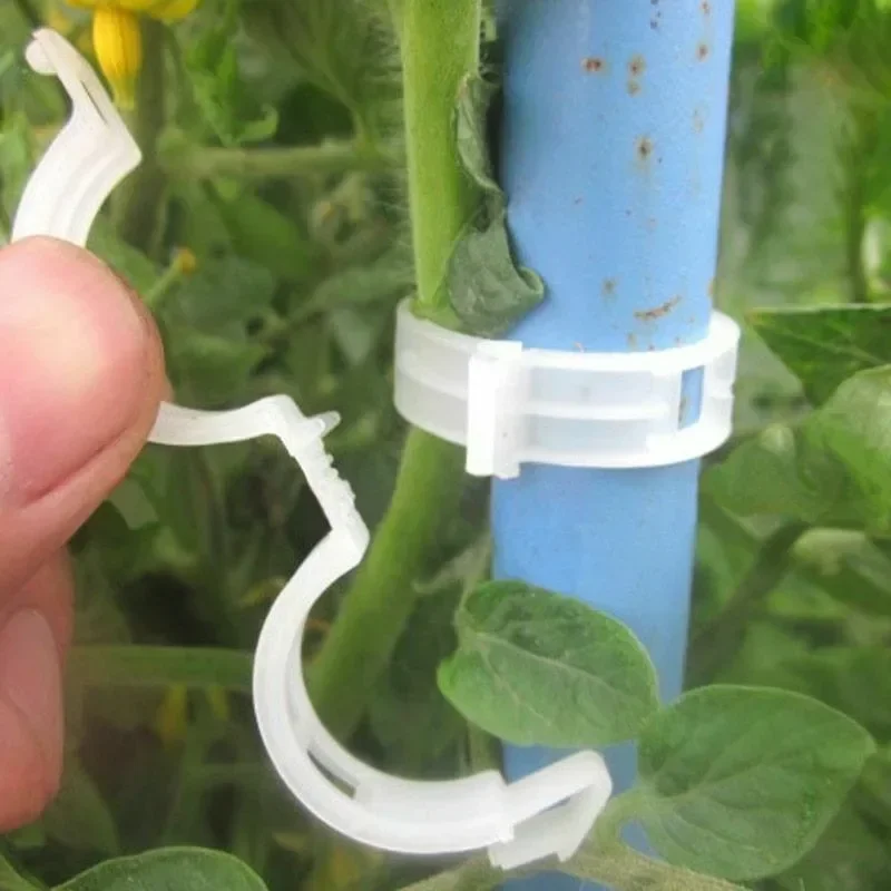 Plant Support Clips Reusable P - Smart Garden Kit 评论和价格