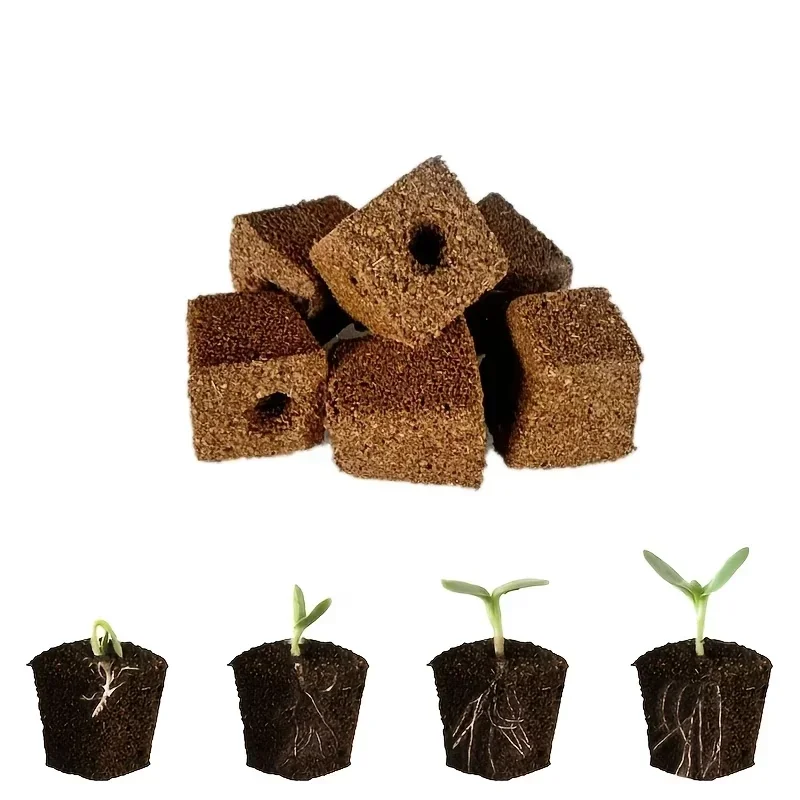 Seedling Starter Sponge Kit fo - Indoor Garden Kit 评论和价格