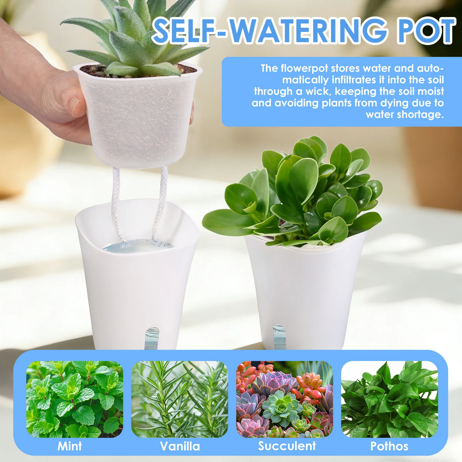 10 Pcs Self Watering Planter L - Hydroponic Grow Pod 评论和价格
