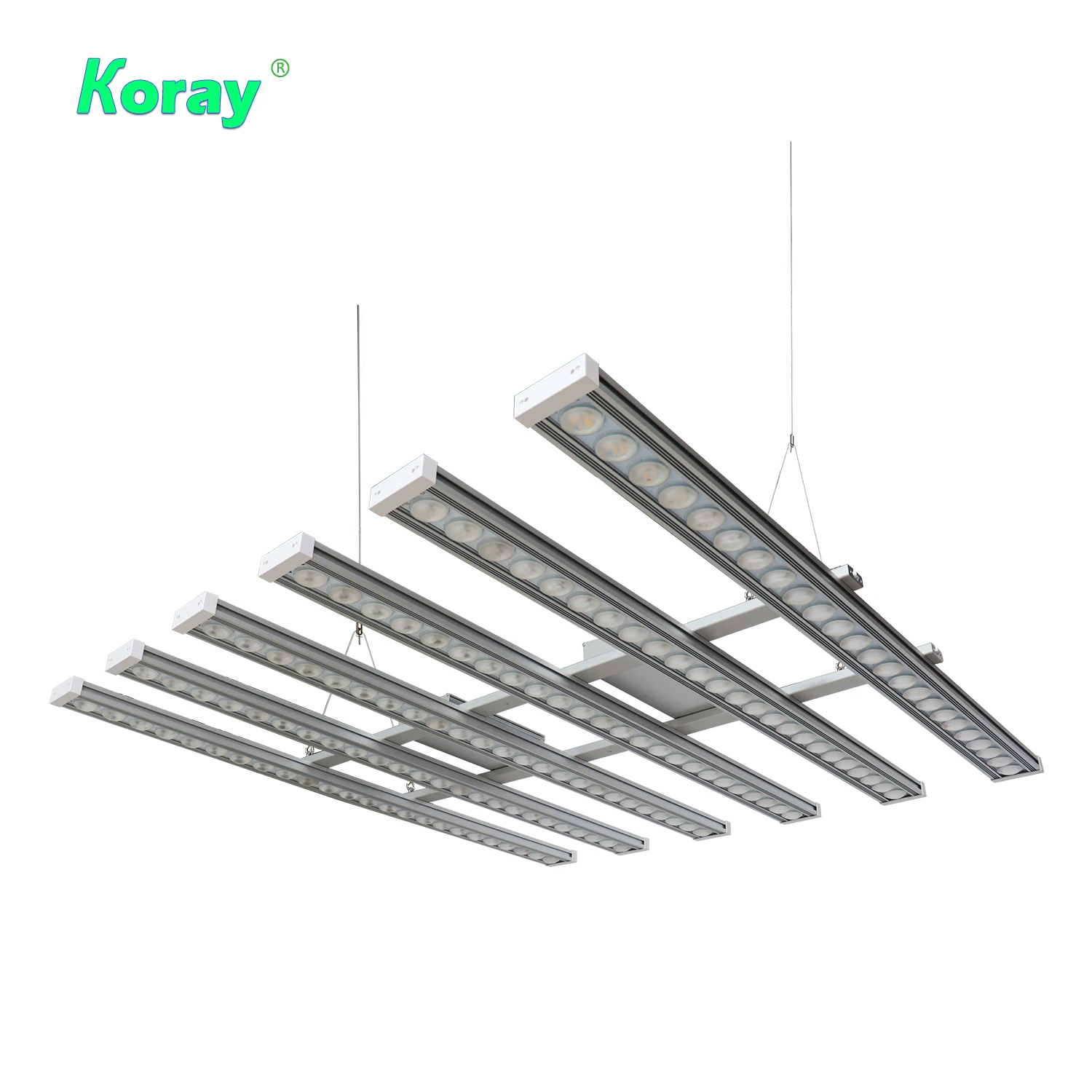 Koray 900W Indoor full spectru - Grow Light Led 评论和价格